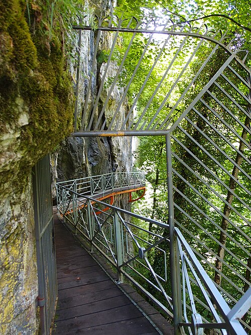 Gorges du Fier (8900826065).jpg